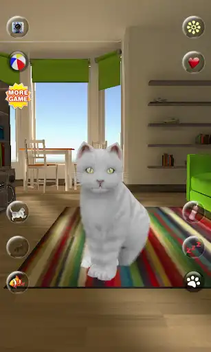 Play Talking Cute Cat  and enjoy Talking Cute Cat with UptoPlay