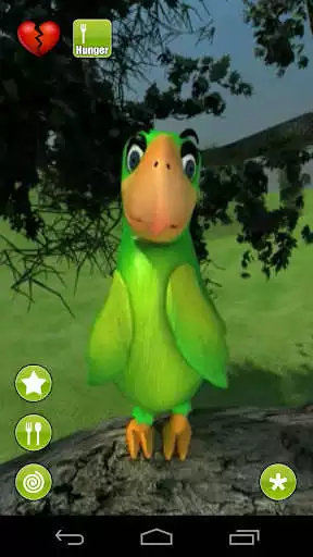 Play Talking Parrot  and enjoy Talking Parrot with UptoPlay