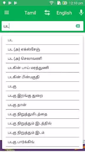 Play Tamil English Dictionary