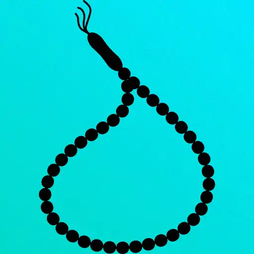 Free play online Tasbih Counter APK