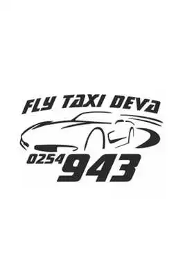 Play TAXI FLY Driver