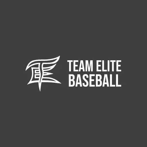 Play Team Elite baseball APK