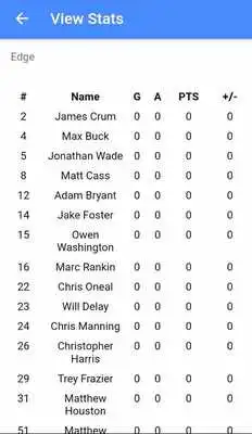 Play Team Hockey Stats