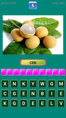 Play Tebak Buah dan Hewan