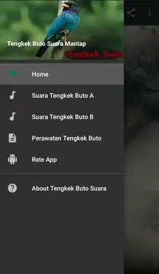 Play Tengkek Buto Suara Mantap