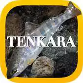 Free play online TENKARA JAPAN APK