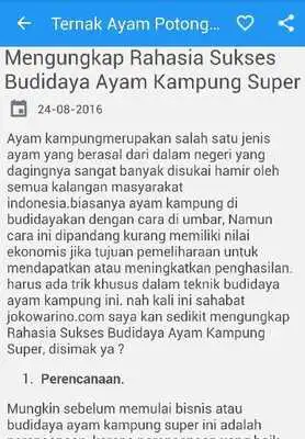 Play Ternak Ayam Jawa Super