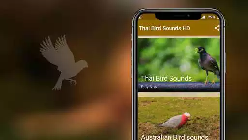 Play Thai Bird Sounds as an online game Thai Bird Sounds with UptoPlay