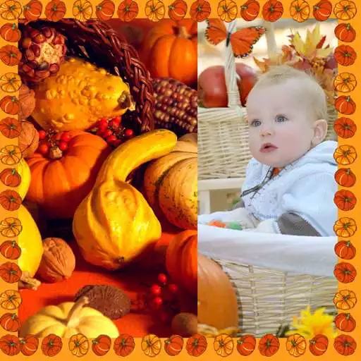 Free play online Thanksgiving Photo Collage  APK