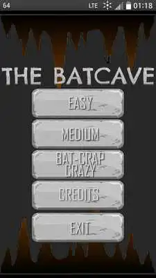 Play The Batcave