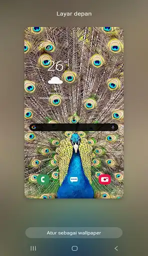 Play The Best Peacock wallpaper as an online game The Best Peacock wallpaper with UptoPlay