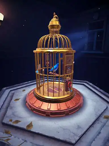 Play The Birdcage