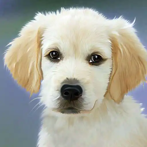 Play The cutest dog in the world 2021 APK