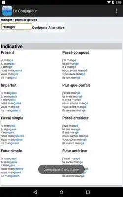 Play The French conjugator