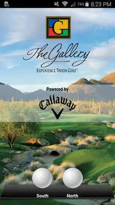 Play The Gallery Golf Club