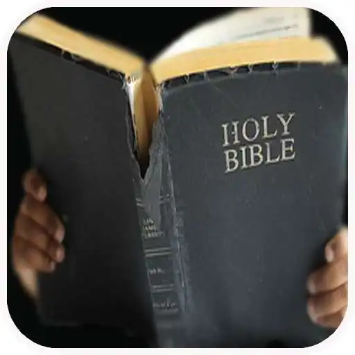 Play The Holy Bible(Offline) APK