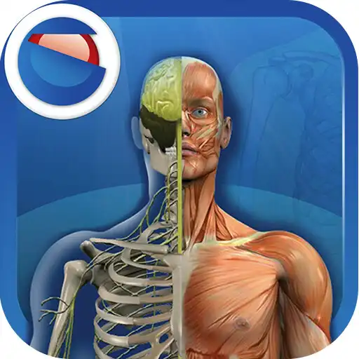 Play The human body APK