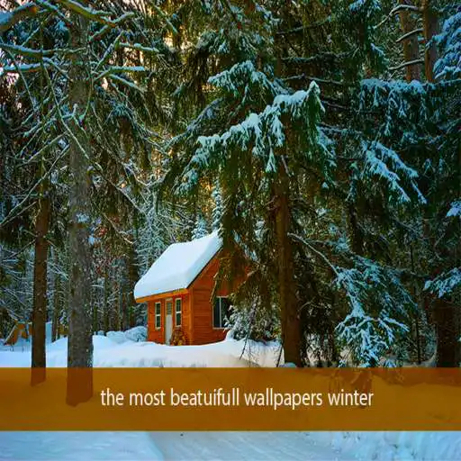 Play The most beatifull winter wallpapers APK