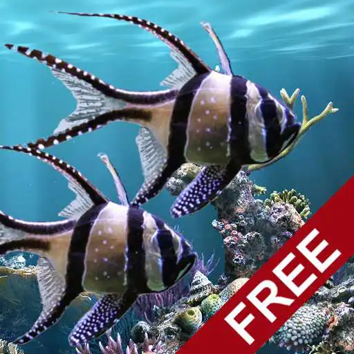 Free play online The real aquarium - LWP  APK