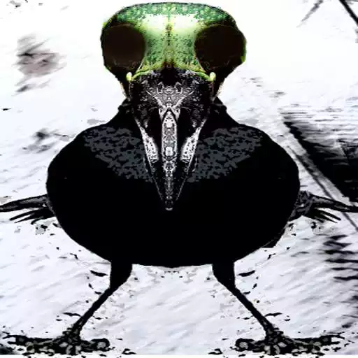 Play The Tarot of Dead Birds APK