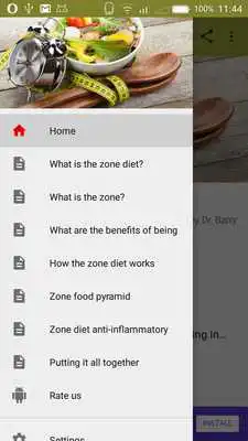 Play The Zone Diet for Beginners