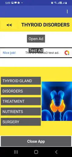 Play Thyroid Disorders as an online game Thyroid Disorders with UptoPlay