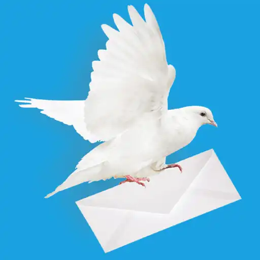 Play TidyPigeon - Keep inbox tidy APK