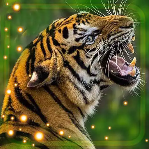 Free play online Tiger Live Wallpaper  APK