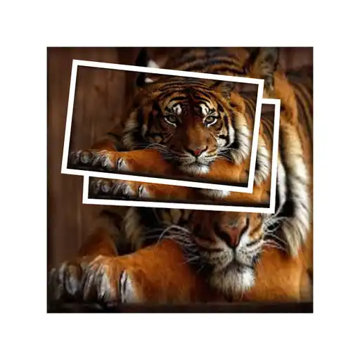 Free play online Tiger Live Wallpapers  APK