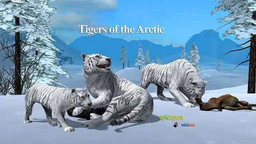 Play Tigers of the Arctic  and enjoy Tigers of the Arctic with UptoPlay