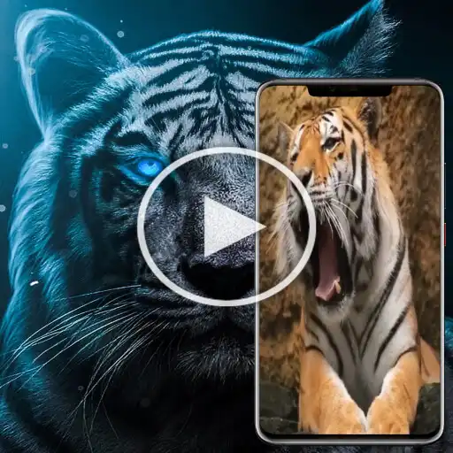 Play Tiger Videos Live Wallpaper 4k APK