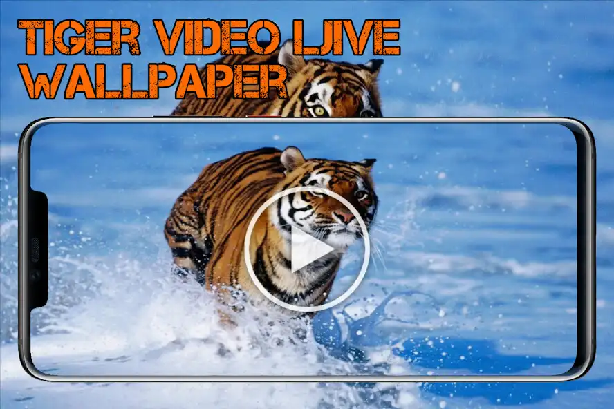 Play Tiger Videos Live Wallpaper 4k  and enjoy Tiger Videos Live Wallpaper 4k with UptoPlay