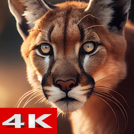 Play Tiger Wallpaper 4K 2023 APK