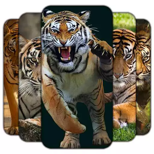 Play Tiger wallpaper Free APK