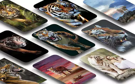 Play Tiger wallpaper Free  and enjoy Tiger wallpaper Free with UptoPlay