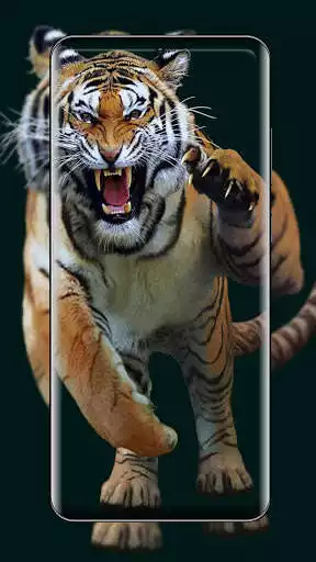 Play Tiger wallpaper Free as an online game Tiger wallpaper Free with UptoPlay