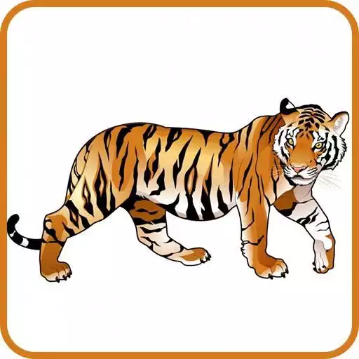 Play Tiger Wallpapers APK