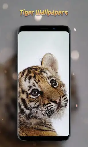 Play Tiger Wallpapers Offline  and enjoy Tiger Wallpapers Offline with UptoPlay