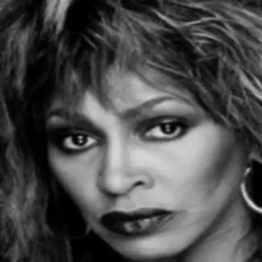 Play Tina Turner All Songs APK