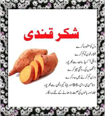 Play Tips in Urdu