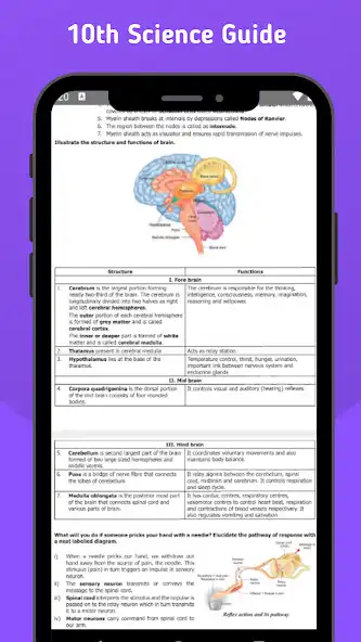 Play TN 10th Science Guide as an online game TN 10th Science Guide with UptoPlay