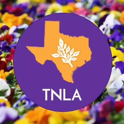 Play TNLA APK