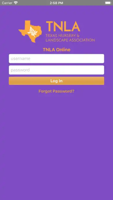 Play TNLA  and enjoy TNLA with UptoPlay