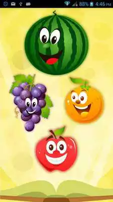 Play Toddlers Fruits Learning Book