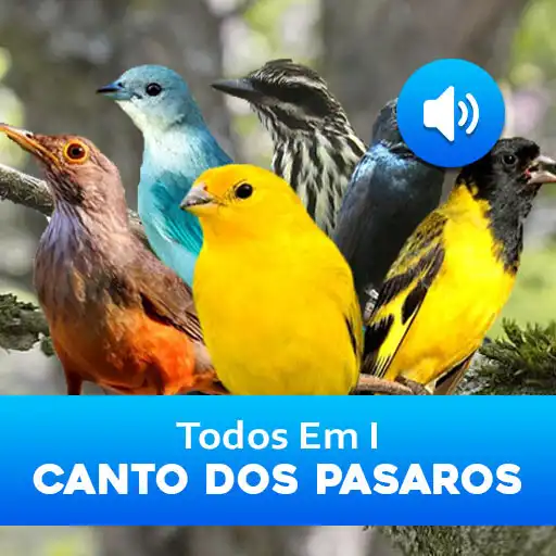 Play Todos Em I Cantos Dos Pasaros APK