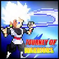 Free play online Tourney of Warriors  APK