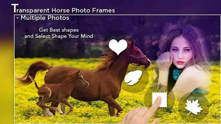 Play Transparent Horse Photo Frames - Multiple Photos