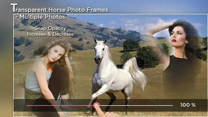 Play Transparent Horse Photo Frames - Multiple Photos