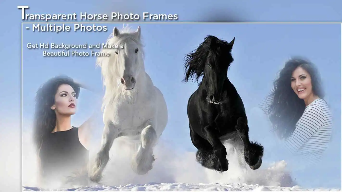 Play Transparent Horse Photo Frames - Multiple Photos