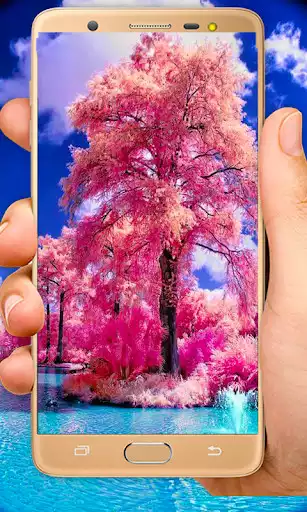 Play Transparent Live Wallpaper as an online game Transparent Live Wallpaper with UptoPlay